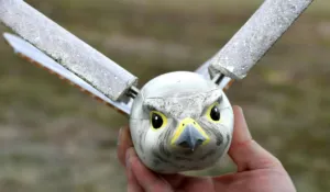 Adiós a las hélices: China desarrolla drones que vuelan como aves e insectos