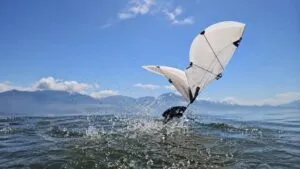 Robot anfibio de robótica inspirada en aves que vuela y nada con las mismas alas para explorar entornos científicos.