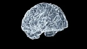 Inteligencia humana frente al avance de la inteligencia artificial