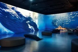 Ciencia y biodiversidad en el Museo de Historia Natural con actividades educativas y recorridos interactivos en Ciudad de México.