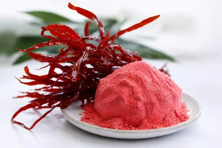Microalgas desarrolladas en Chile para producir carragenina lambda usada en helados, cosméticos y otros productos.