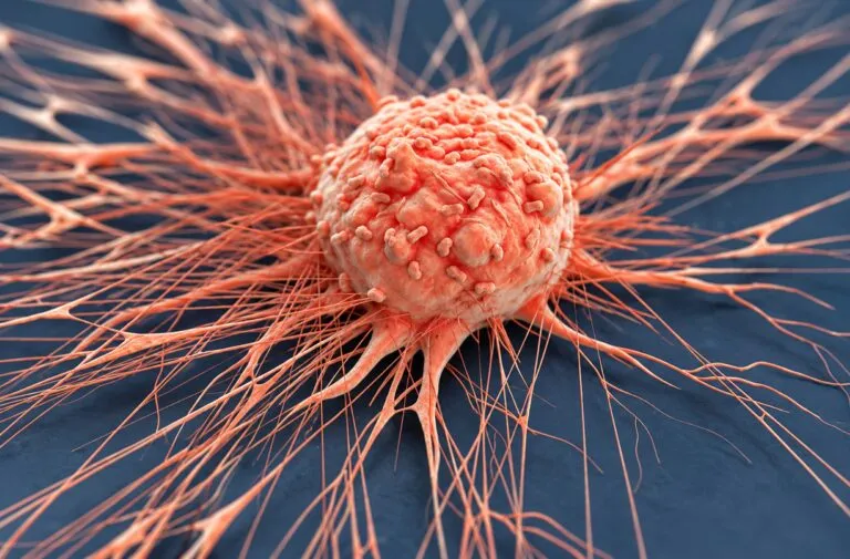 Paclitaxel provoca una respuesta mecánica inesperada en células tumorales durante una investigación sobre resistencia