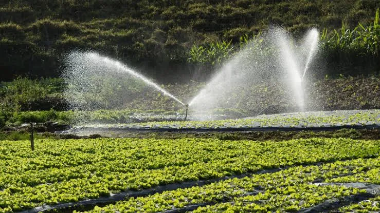 El agua como eje de una nueva agricultura sostenible: la visión de Daniel Madariaga Barrilado