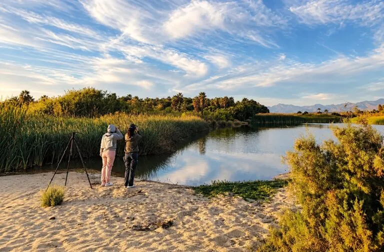 Mujeres de La Ribera realizan ciencia comunitaria, educación y monitoreo para proteger esteros con biodiversidad en Baja California Sur.