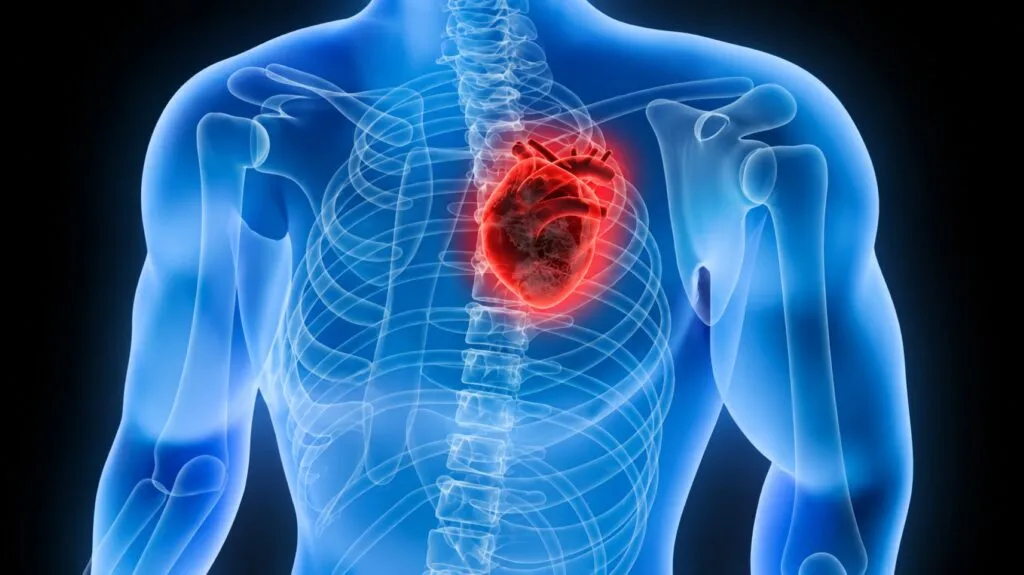 Investigación cardiovascular impulsa inteligencia artificial, dispositivos médicos y nuevas tecnologías para cuidar la salud del corazón.