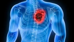 Investigación cardiovascular impulsa inteligencia artificial, dispositivos médicos y nuevas tecnologías para cuidar la salud del corazón.