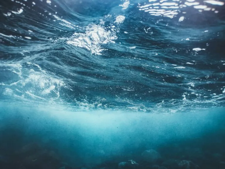 Energía nuclear explora una nueva fuente de uranio mediante fibras tecnológicas capaces de recuperar el elemento del agua marina.