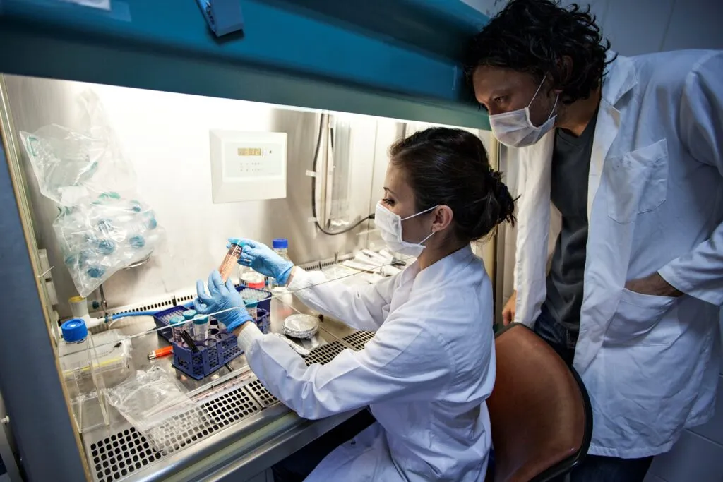Representación científica del VIH y las células inmunológicas estudiadas para desarrollar tratamientos que permitan controlar el virus sin medicación continua.
