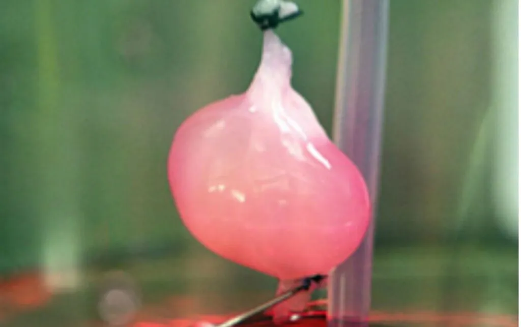 Laboratorio futurista con biorreactores transparentes y estructuras de tejidos humanos en cultivo.