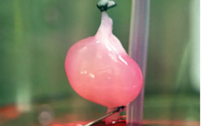 Laboratorio futurista con biorreactores transparentes y estructuras de tejidos humanos en cultivo.