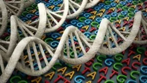 Investigadores internacionales colaboran en un laboratorio tecnológico, representando la movilidad científica y la innovación mundial.