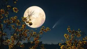 Luna de octubre brillante sobre el horizonte durante una noche despejada, fenómeno explicado mediante diferentes factores científicos.