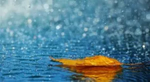 Lluvias de otoño en México provocadas por humedad, ciclones tropicales y la llegada de los primeros frentes fríos.