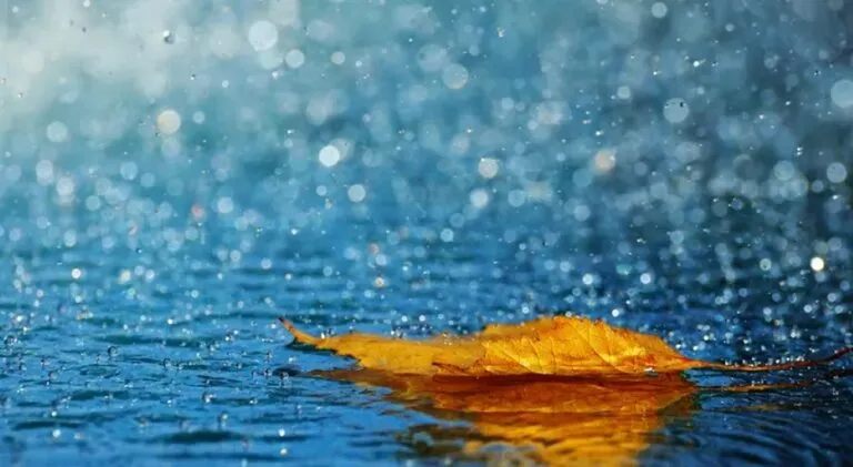 Lluvias de otoño en México provocadas por humedad, ciclones tropicales y la llegada de los primeros frentes fríos.