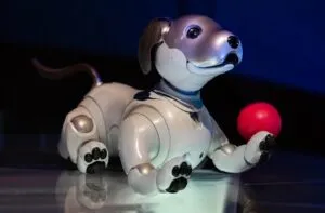 Perro robot que dibuja en el Museo Franz Mayer durante la exposición IA Más que humano en Ciudad de México.