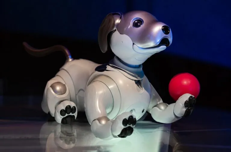 Perro robot que dibuja en el Museo Franz Mayer durante la exposición IA Más que humano en Ciudad de México.