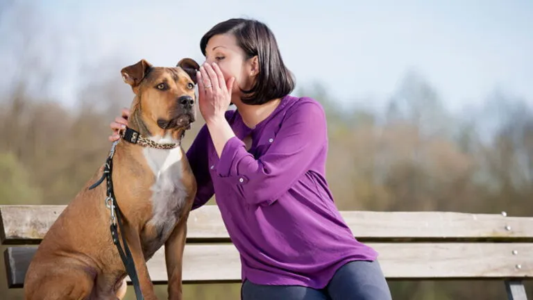 - un perro frente a un dispositivo inteligente que analiza sus sonidos, con una interfaz tecnológica sutil y realista.